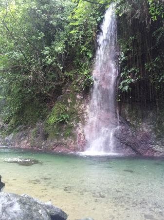Falls
