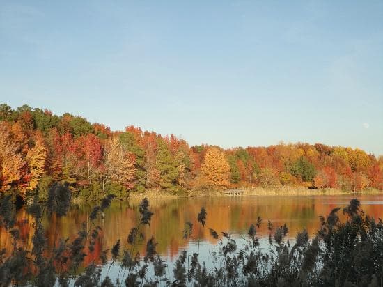 OAK GROVE LAKE PARK, CHESAPEAKE, VA
