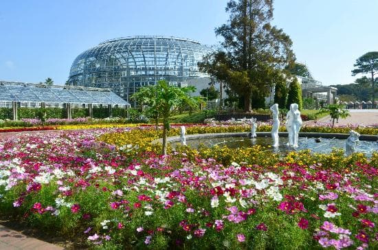 花壇からトロピカル館