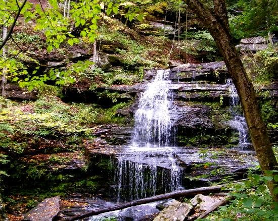 Grand Canyon of Pennsylvania