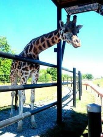 She's sooo beautiful!!!