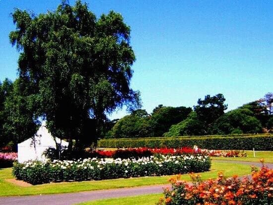 Rose Garden