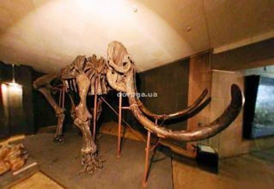 Donetsk Regional Museum of Local History