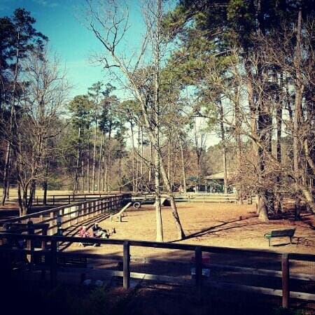 Very well developed park