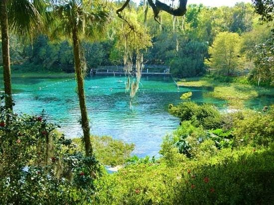 Rainbow Spring Swimming
