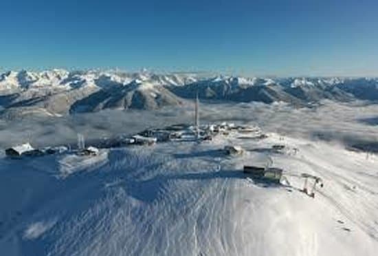 panettone