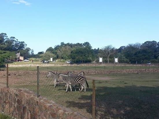 Parque Lecocq