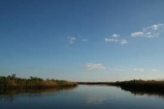 Watch out for gators:)