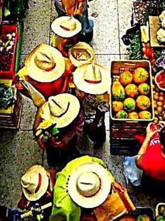 frutas y legumbres