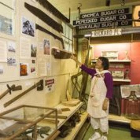 Volunteer May points to displays