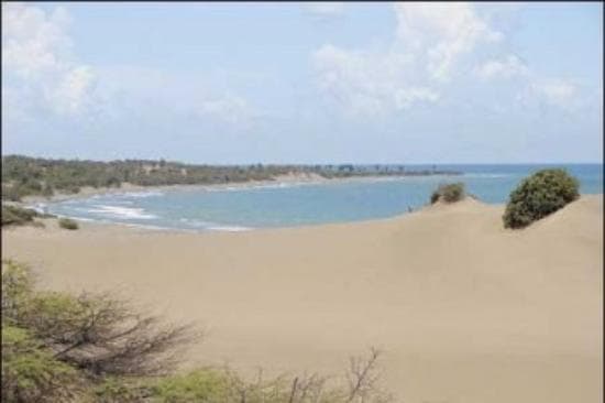 Dunas de Bani
