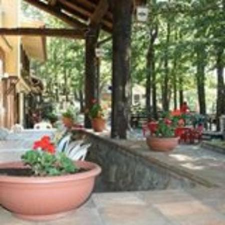 getlstd_property_photo