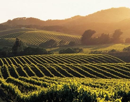 Sonoma...