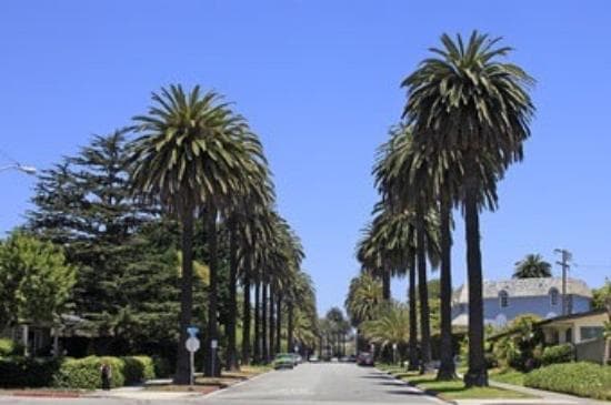 Usually great weather.