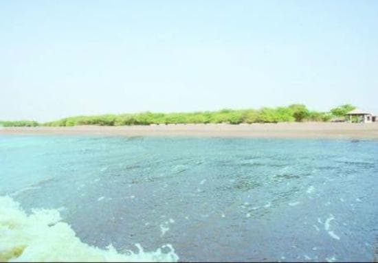 Ghogha Port RORO Terminal