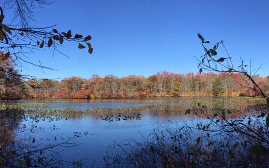 View from the eastern shore