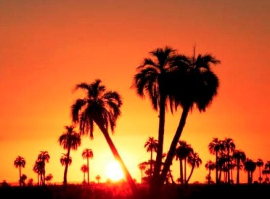 atardecer