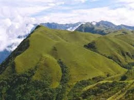 Mukurthi National Park is a 78.46 km² protected area located in the western corner of the Nilgir