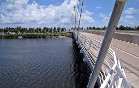 visão do mangue.