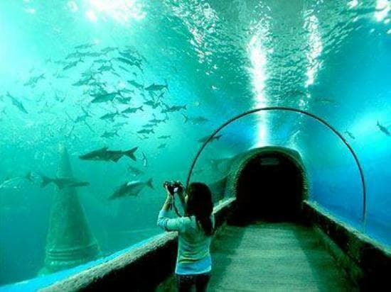 Aqua Mekong Aquarium Nong Khai