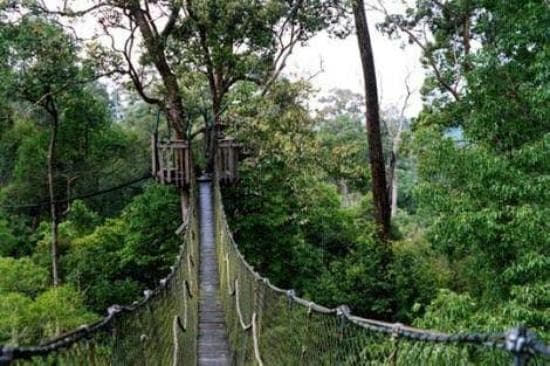 Selesai kegiatan PMK lanjut refreshing