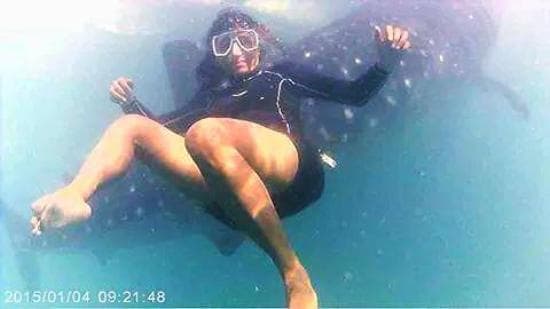 Swimming with the whales. 