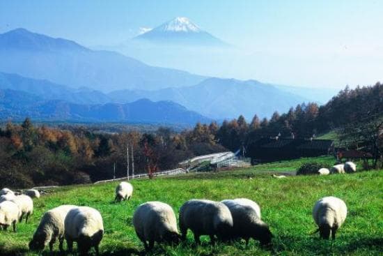 getlstd_property_photo