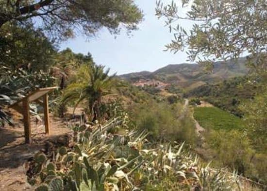 Jardin botanique de Banyuls
