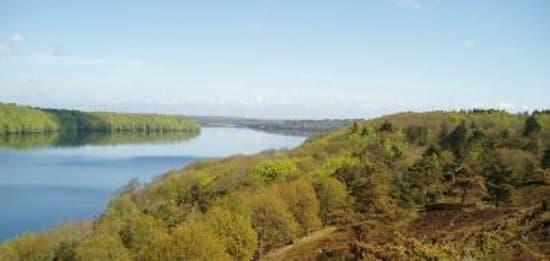 Udsigt fra sydøstsiden af Hald Sø over Hald Sø og Inderøen med Viborg i horisonten