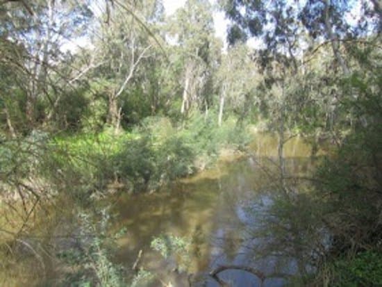 Great spot with fantastic dog area