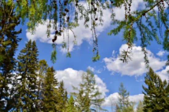 Lay back and enjoy the view!!