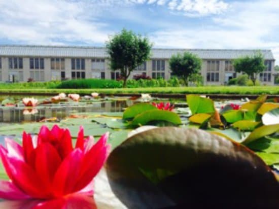 Les jardins de Cité Nature
