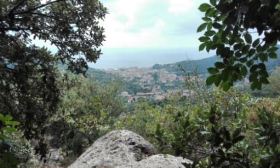 panorama verso il mare da Calvisio vecchio