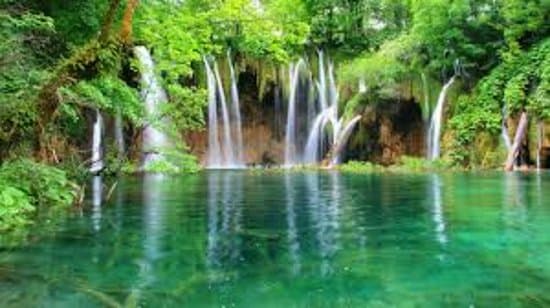 Nature shows how to live happily in our liffe..