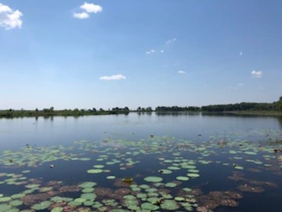 Fogg Dam Conservation Reserve
