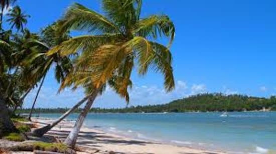 Venham Pessoal Conhecer a praia dos Carneiros 
 Localizada na cidade de Tamandaré PE ,.
 
 
 Passeios de Barco ou Lanchar é comigo viu  ,. tem muitas Promoção ,
 Tem diverso Preços muito Atraente  ,. Barato é muito bom  ,. 
  pra quem estiver interressado em meu Passeios vcs vão Gosta 
 Sempre deixou meus clientes muito Avontade ,.
 Contator : 81984319629 
 Email : adrianoret@outlook.com