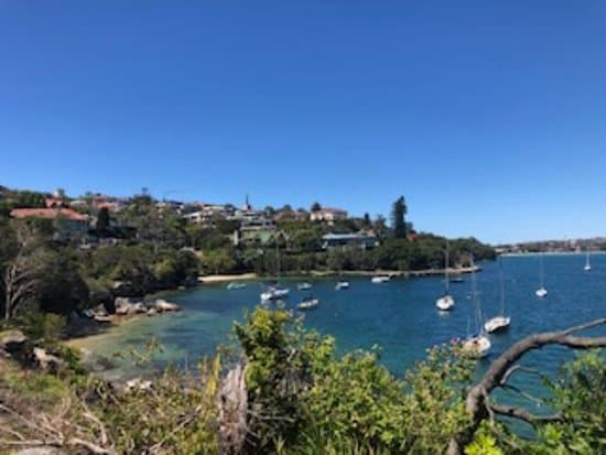 hHarbour views back to Rose bay