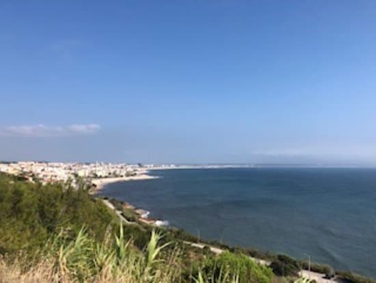 view