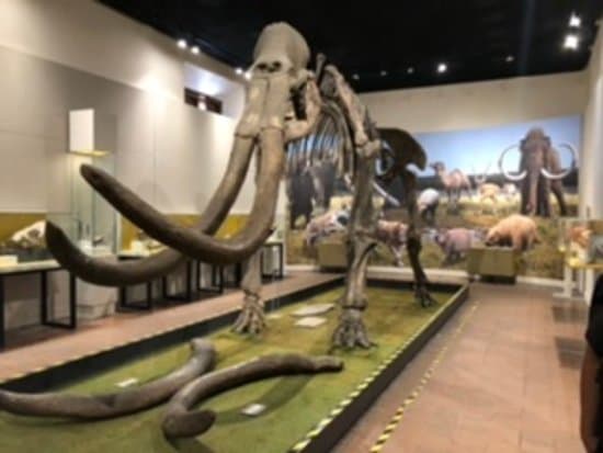 Museo de la Ciudad de Guadalajara