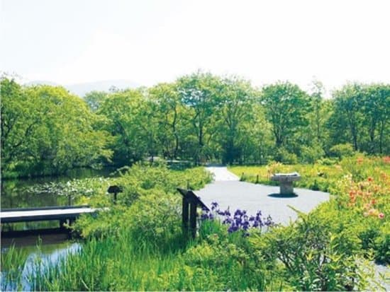 Hakone Botanical Garden of Wetlands