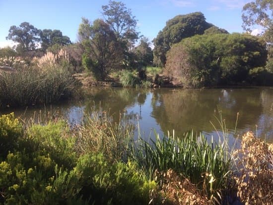 Another View Of The lake