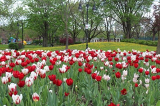 PHOTO: David Leonardo