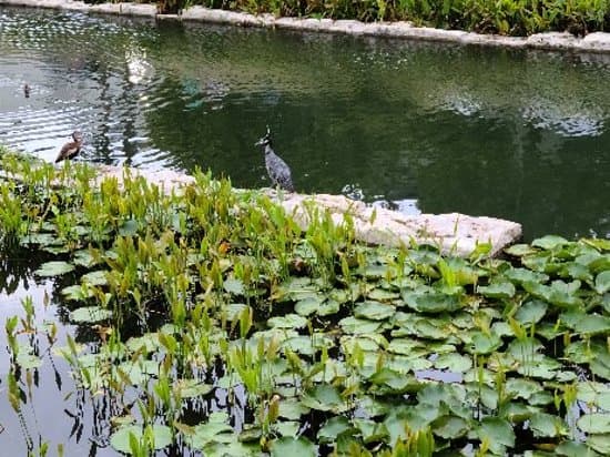 San Pedro Creek Culture Park