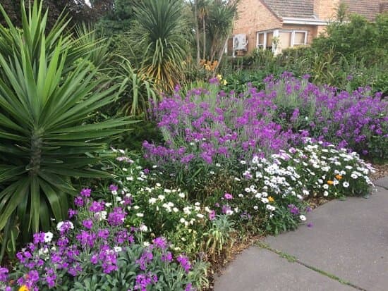 Flower Gardens