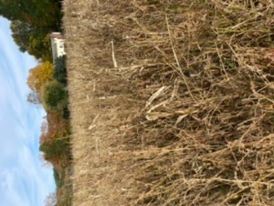 Riverview Farm Park