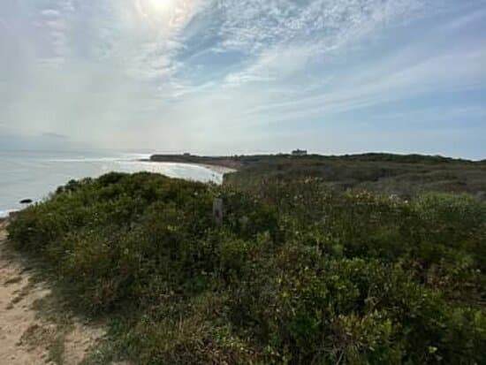 Trail Views