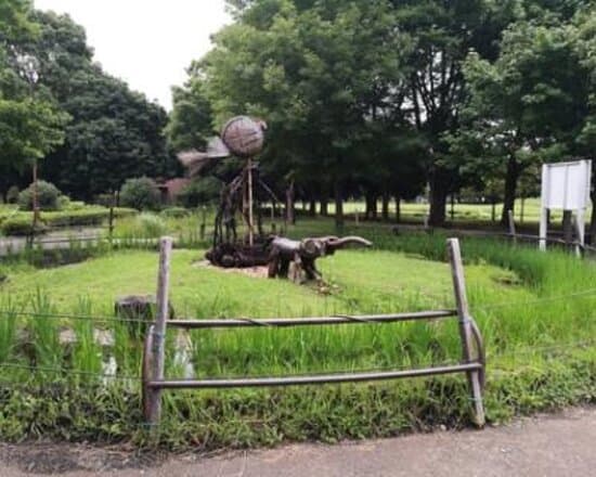 自然が豊か