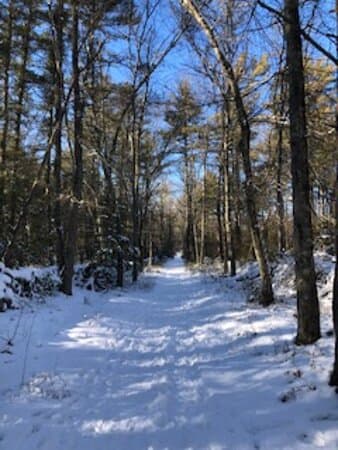 peaceful trail