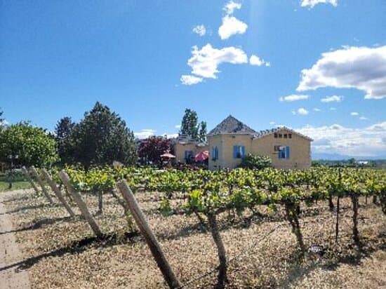 Bonair Winery