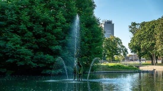Town Centre Gardens